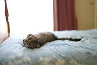 https://images.plurk.com/1PmZD56IsLHW2JMjtNvXQ5.jpg