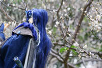 https://images.plurk.com/1PrUQ9vteGj1PQQdvYdjt7.jpg