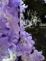https://images.plurk.com/1PtBz9bNfIXP9jhLTgefzl.jpg