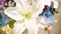 https://images.plurk.com/1PtKoH0eRHTi1buErnezcd.jpg