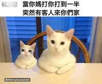 https://images.plurk.com/1PumqTBVHyQMGnTe81mlHm.jpg