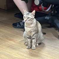 https://images.plurk.com/1Q1SeOxfXagK0tHNSPoKjb.jpg