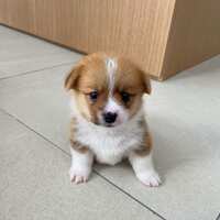 https://images.plurk.com/1Q1nHZibqUhl2aUvVRnX0U.jpg