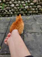 https://images.plurk.com/1QM2DHcQXWwhVygIcD19uu.jpg