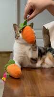 https://images.plurk.com/1QRQbN5QWQTwuR6Nzdwjgq.jpg