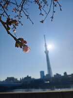 https://images.plurk.com/1QWTi1Fq2bwTAiYEsai8nC.jpg