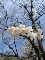 https://images.plurk.com/1QfnR6pcDZN48hARywhe9L.jpg