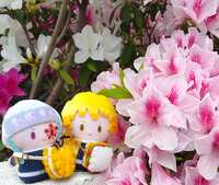 https://images.plurk.com/1QkfuDOmFgxYhKjIKGuK4c.jpg