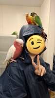 https://images.plurk.com/1Qm5YplKyHPzjDknOzXD3S.jpg