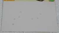 https://images.plurk.com/1QnqUN3mP5HZ8RtDT8iUvl.png