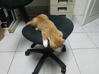 https://images.plurk.com/1QptqJeET6pNO0MyYWBmCl.jpg