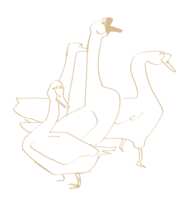 https://images.plurk.com/1QzUtMGyvwgX9iHeuKgpl4.png