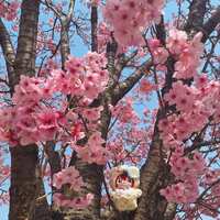 https://images.plurk.com/1R5y638YUIJfpaaDiPp9ji.jpg