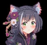 https://images.plurk.com/1RC2mg12aZ5xfc6PzHgAxK.gif