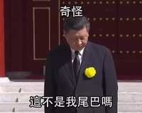 https://images.plurk.com/1RKmMhdFvNJCjDYwyBrTIW.jpg