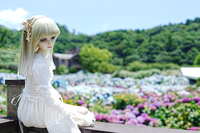 https://images.plurk.com/1RPVIaHUJPu8tJM64mrsDq.jpg