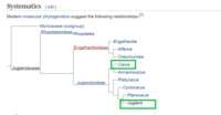 https://images.plurk.com/1RTGAsgrXCBfx8IAIHHu06.png