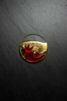 https://images.plurk.com/1RXHd6AUI8T599h3IauQic.jpg