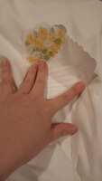 https://images.plurk.com/1RZa3se5rlxXQ6EFUMOupb.jpg