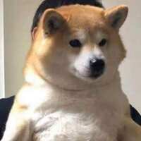 https://images.plurk.com/1Rbqzgr1ELV2Gwz2iwv5Ot.jpg