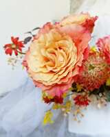 https://images.plurk.com/1RgnnFMmIMco8di0kEjDsi.jpg