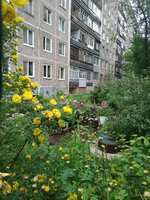 https://images.plurk.com/1Rla4RxE4E2w9tLHa2rPYn.jpg