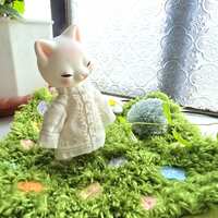 https://images.plurk.com/1RrnHCikdi0ZBcnVlaNdqG.jpg