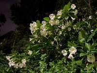 https://images.plurk.com/1RtV9JjclmVHUjwnmYZEDP.jpg