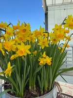 https://images.plurk.com/1RttO4hzS8HxACdbwFcJV2.jpg