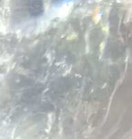 https://images.plurk.com/1SKQYBTy3xPPEYc81orNct.jpg