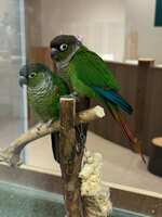 https://images.plurk.com/1SQJUq2r0uLod9YOeL6GVW.jpg