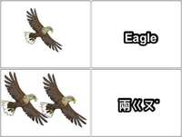 https://images.plurk.com/1SZ8tzoWjAGCiDs4pQxRzG.jpg