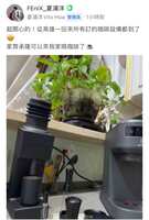 https://images.plurk.com/1SbMyE1nXxaWHmyroefnML.jpg