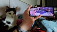 https://images.plurk.com/1SuGeE5PSyarFfBWdC6Tna.jpg