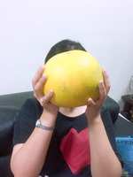 https://images.plurk.com/1Svy7P60BS8kmKe6HxXt8k.jpg