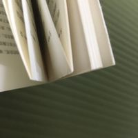 https://images.plurk.com/1Syg0Xr6xdAQ9B7NsmqNr8.jpg