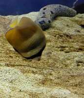 https://images.plurk.com/1SzF27OqYaRPhf4xfhutwK.jpg