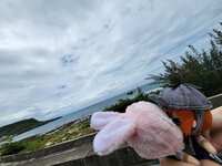 https://images.plurk.com/1T7uAI5GGLod3Hy0aOPVkv.jpg