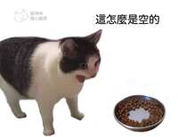 https://images.plurk.com/1TNkfUzX6IbqJj7wz2Vhh7.jpg