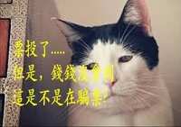 https://images.plurk.com/1TPRITzaI2CkiY1UsU7J4y.png
