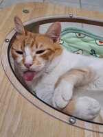 https://images.plurk.com/1TTdqgIldDNCzHHEScO0am.jpg