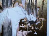 https://images.plurk.com/1TUly20BN7qnJ6LD5nPnms.jpg
