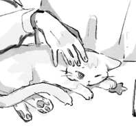 https://images.plurk.com/1TY8k7pHsyQ2mgvqwMVckI.png