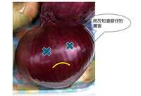 https://images.plurk.com/1Tai0Of6GFMttDVLTpxddI.jpg