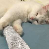 https://images.plurk.com/1To3iMFcCWWKv3MGSf07tK.jpg