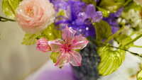 https://images.plurk.com/1TsXkAUJaMBHj8C8Lfqmqu.jpg