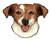 https://images.plurk.com/1TtvOXifbMzPoTYTKQauGW.jpg