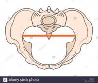 https://images.plurk.com/1Twivwrc10MUsfgeRUAll1.png