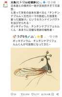 https://images.plurk.com/1TxL4N9uo5v4zfsBVWcTEa.png