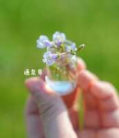 https://images.plurk.com/1U4LSp6gXA4ZwFb5pWtaX6.jpg